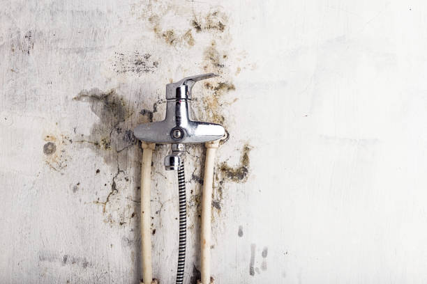 Best Certified Mold Removal  in Huron, OH