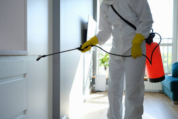Best Commercial Mold Removal  in Huron, OH