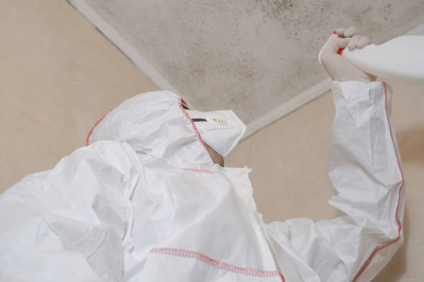 Water Damage Restoration in Huron, OH